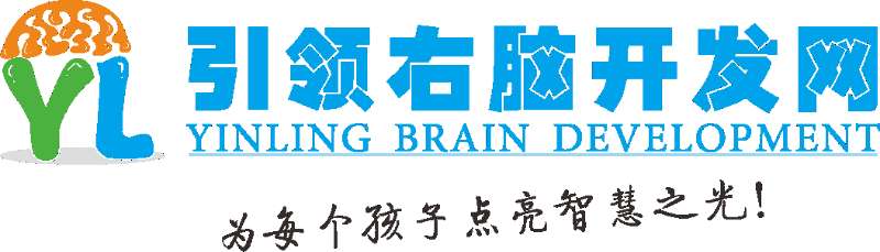 引領(lǐng)右腦